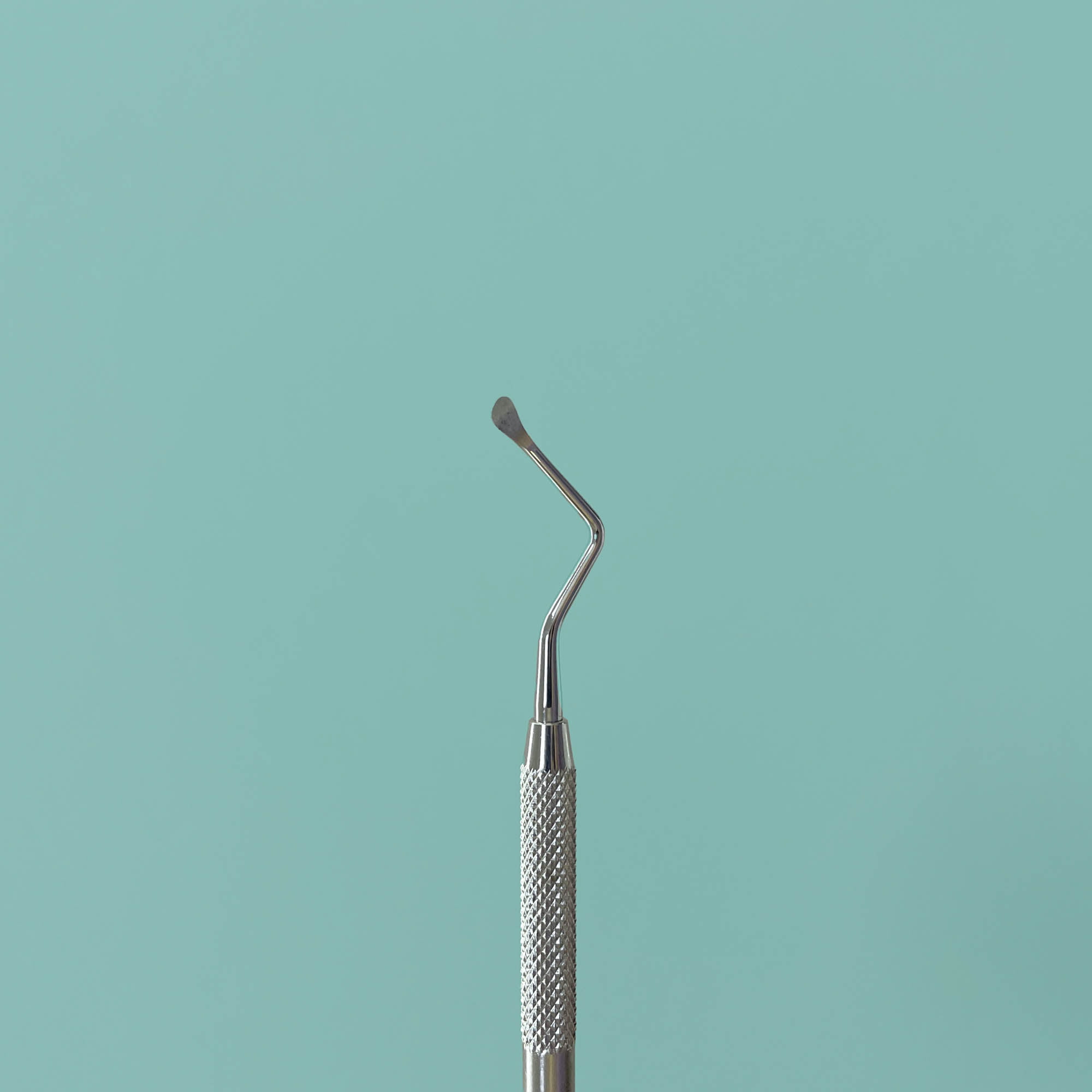 pexels-anna-morgan-12374353